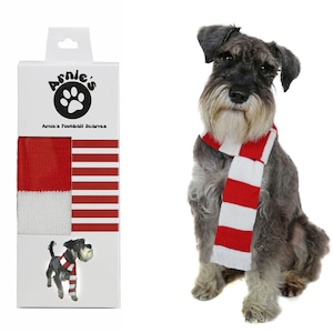 pet clothing, dog scarf, football scarf, football dog scarf, pet accessory
