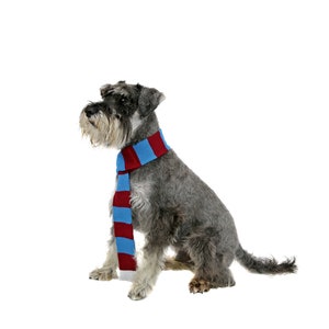 Pet Clothing, Pet Accessories, Dog Scarf, Football Scarf, Arnie&#39;s Football Scarf