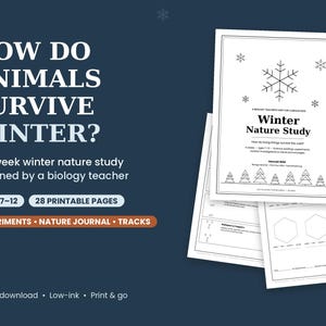 Può includere: Un curriculum di studio della natura invernale di 28 pagine stampabili intitolato How Do Animals Survive Winter?, progettato da un insegnante di biologia per bambini dai 7 ai 12 anni. Include esperimenti, diari naturalistici e tracce.