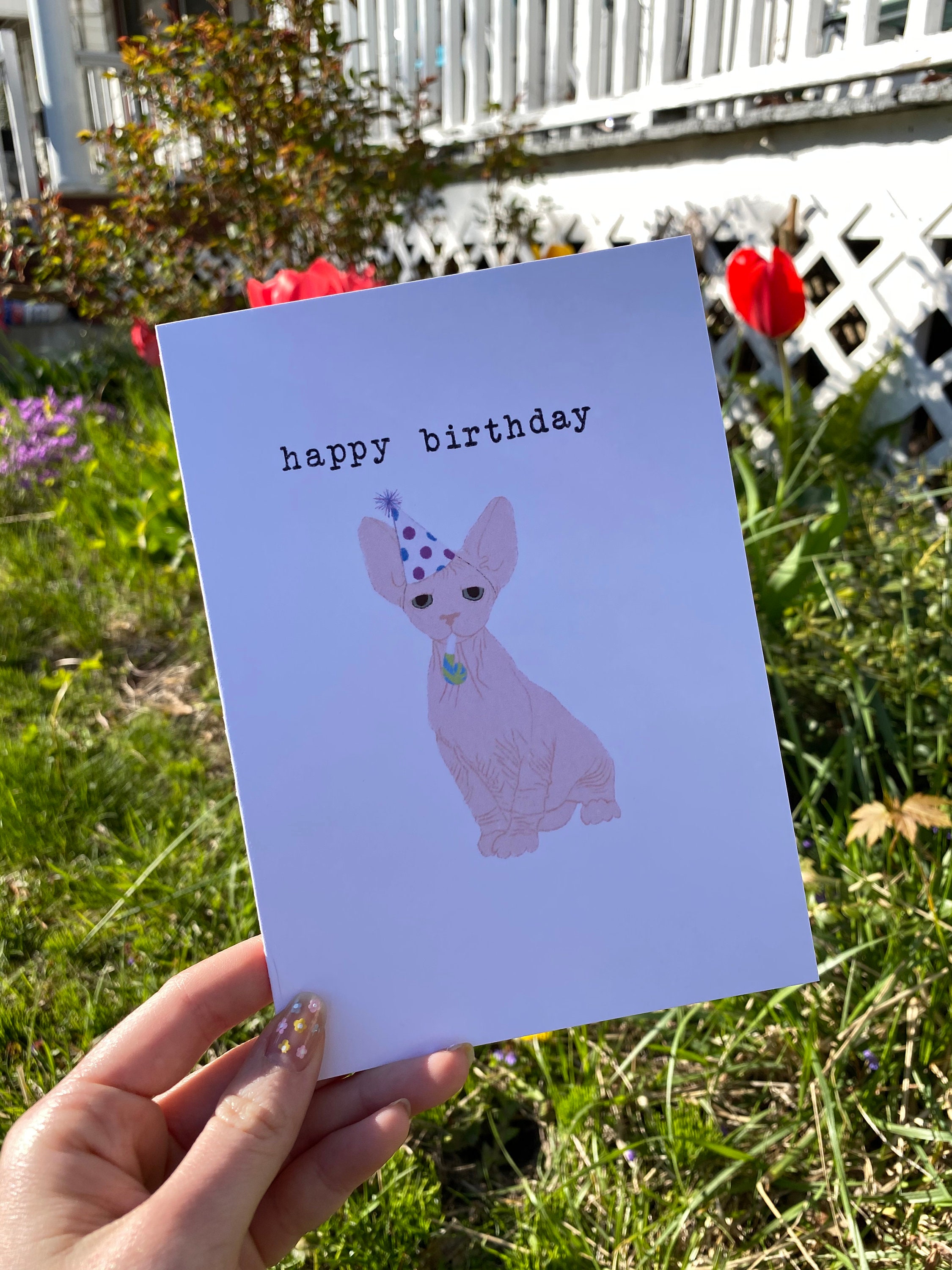 Grumpy Sphynx Cat Birthday Card - Etsy