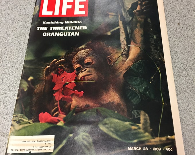 LIFE Magazine "The Threatened Orangutan" March 28, 1969