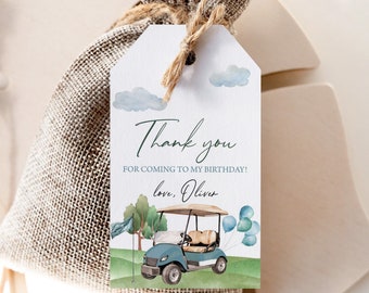 Printable Birthday Favors, Gift Tags | Hole In One, Golf Cart, Golfing Par Tee | Boys 1st Birthday Party Decor, Editable Thank You Tags HIO