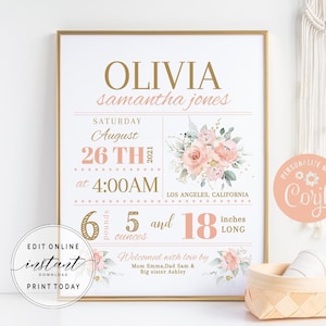 Blush Floral Birth Stats Sign Printable Birth Announcement Poster Newborn Stats Sign Custom Nursery Wall Art Decor DIY Editable Template NW1 image 1