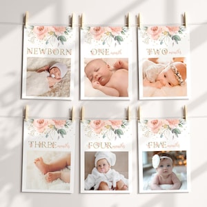 Monthly Photo Banner, Girl 12 Months Banner, Baby&#39;s First Year | Blush Pink Floral Gold | 1st Birthday Decor Printable Editable Template NW1