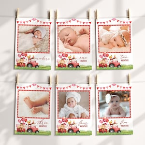 Monthly Photo Banner, 12 Months Birthday Banner, Year In Photos | Farm Animals, Barnyard Ranch | Printable 1st Birthday Decoration Ideas FA3
