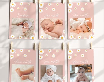 Daisy Monthly Photo Banner - 12 Months First Year Banner, Pink Boho Retro Girl 1st Birthday Printable RD1