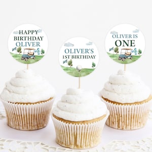 Printable Cupcake Toppers, Party Cake Decor | Hole In One, Golf Cart, Golfing Par Tee | Boys 1st Birthday Decor, Custom Cupcake Toppers HIO
