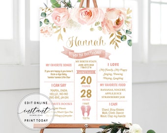 Blush Pink Floral Milestone Board Template Editable Baby 1st Birthday Milestone Sign Floral Birthday Keepsake Milestone Poster DIYBLG DIYBL2