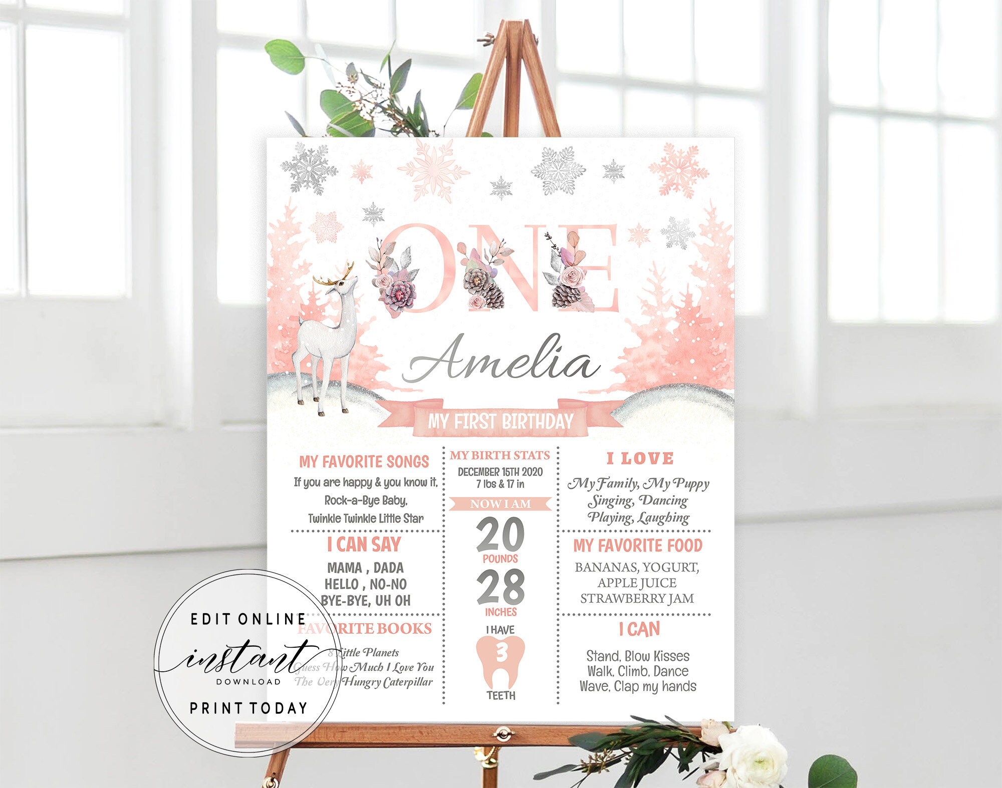 Editable Birthday Board Template Printable First Birthday Baby Etsy Editable Birthday Board Template Printable First Birthday Baby Etsy