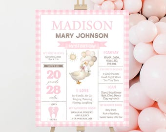 Girls Birthday Milestone Sign, Poster | ONE Silly Goose, Pink Gingham, Retro | Printable Girls 1st Birthday Party Decor Ideas, Keepsakes OSG