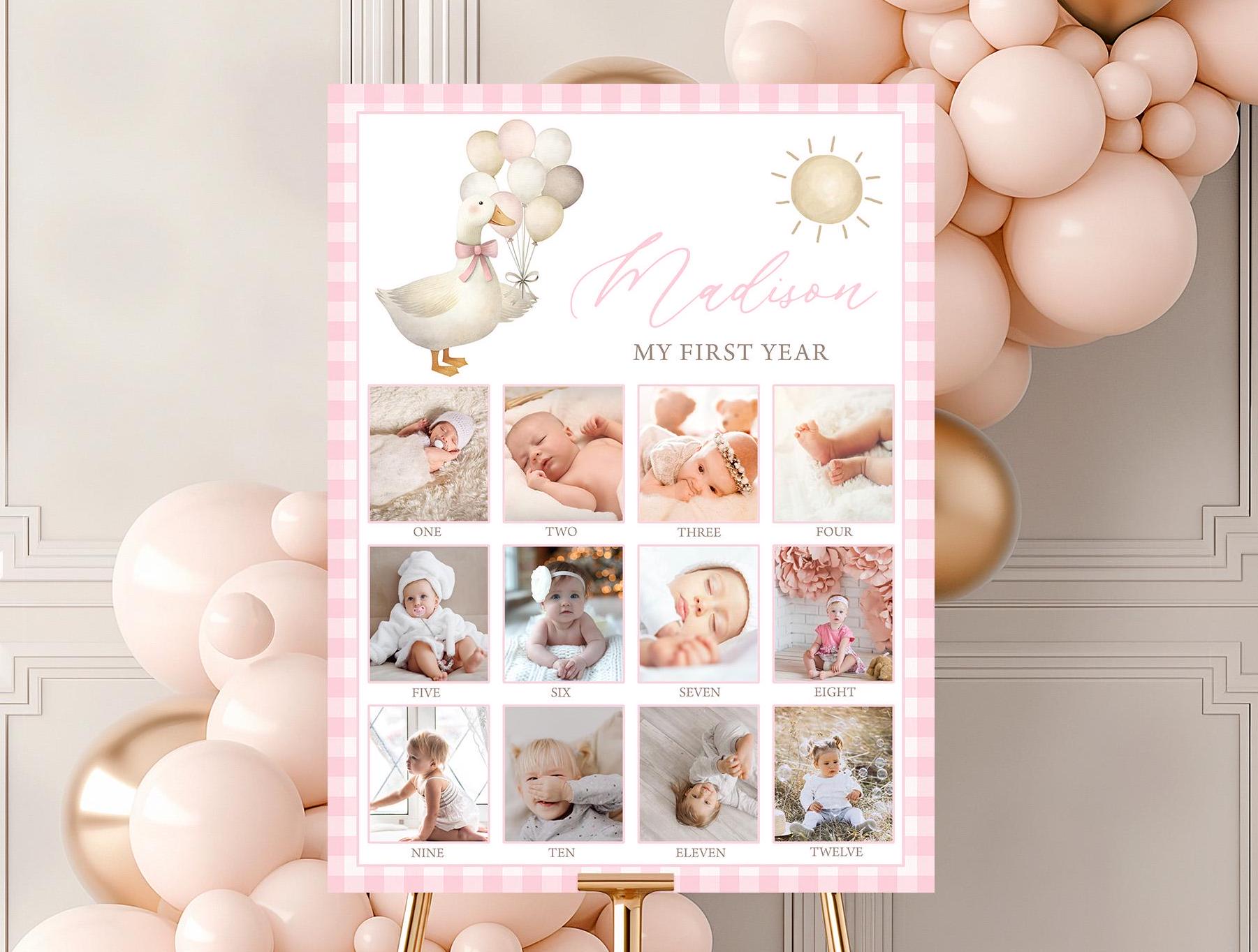 Photo Milestone Sign, 12 Months Poster, Baby Year In Photos | ONE Silly Goose, Pink Gingham, Retro | Girl 1st Birthday Party Decor Signs OSG
