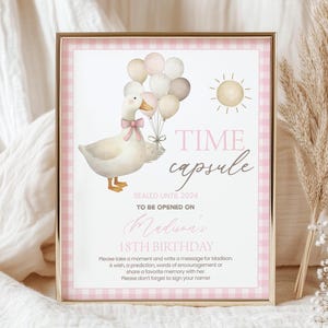 Placa de cápsula do tempo de aniversário, cartão | ONE Silly Goose, guingão rosa, retrô | Ideias de decoração para festa de 1º aniversário de menina para impressão, jogos, lembrança OSG