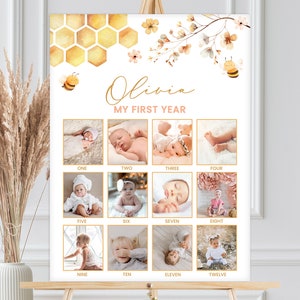 Signo de hito fotográfico, póster fotográfico de 12 meses, año en fotos / abeja melífera, primer día de abeja, nuestra pequeña miel / decoración de cumpleaños de niña imprimible HON