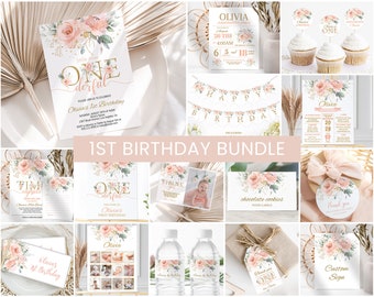 Girl First Birthday Invitation Bundle Blush Pink Floral 1st Birthday Girl Theme Printable Party Decorations Bday Milestone Welcome Sign
