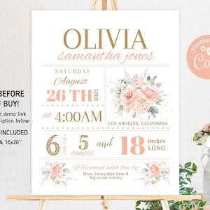 Blush Floral Birth Stats Sign Printable Birth Announcement Poster Newborn Stats Sign Custom Nursery Wall Art Decor DIY Editable Template NW1 image 2