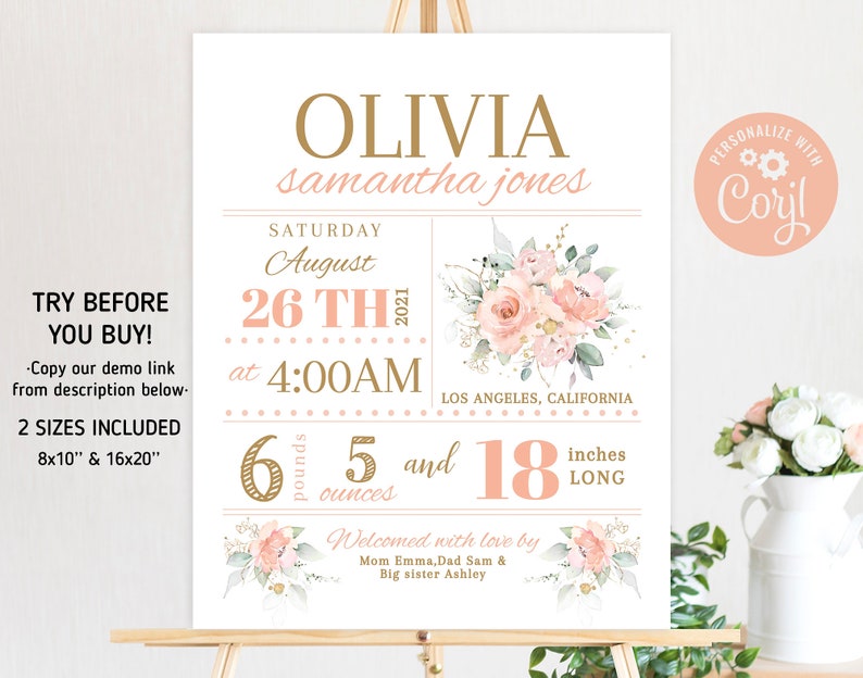 Blush Floral Birth Stats Sign Printable Birth Announcement Poster Newborn Stats Sign Custom Nursery Wall Art Decor DIY Editable Template NW1 image 2