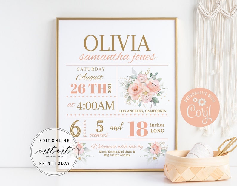 Blush Floral Birth Stats Sign Printable Birth Announcement Poster Newborn Stats Sign Custom Nursery Wall Art Decor DIY Editable Template NW1 image 1