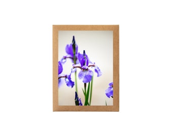 Card Set (8 Cards + Envelopes Included) • Blooming Iris, Spring Bulbs, Nature Photography, Floral Card, Blank Inside