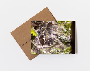 Greeting Card • Hidden Barred Owl, Nature Photography, Bird Photography, PNW, Blank Inside