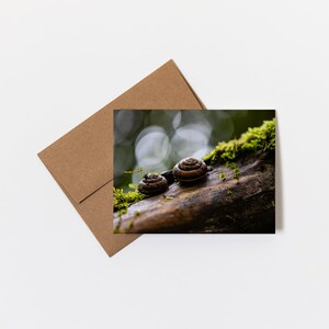 Greeting Card • Snail Mates, Nature Photography, PNW Photography, Blank Inside