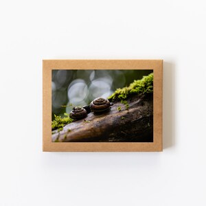 Juego de tarjetas (8 tarjetas + sobres incluidos) • Caracoles, Fotografía de la naturaleza, Fotografía del Pacífico Noroeste, Interior en blanco