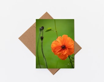 Greeting Card • Orange Poppy, Nature Photography, Floral Card, Blank Inside