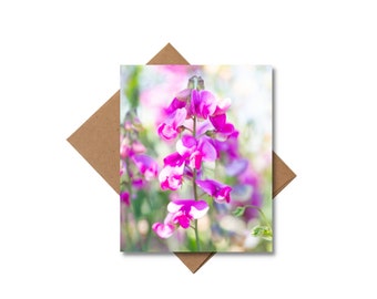 Greeting Card • "Sweet Pea Pastels", Nature Photography, PNW, Floral, Blank Inside