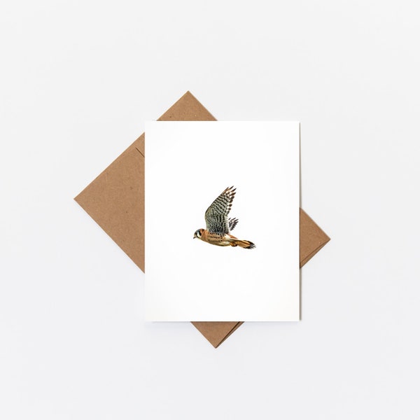 Greeting Card • American Kestrel, Nature Photography, Bird Photography, Blank Inside