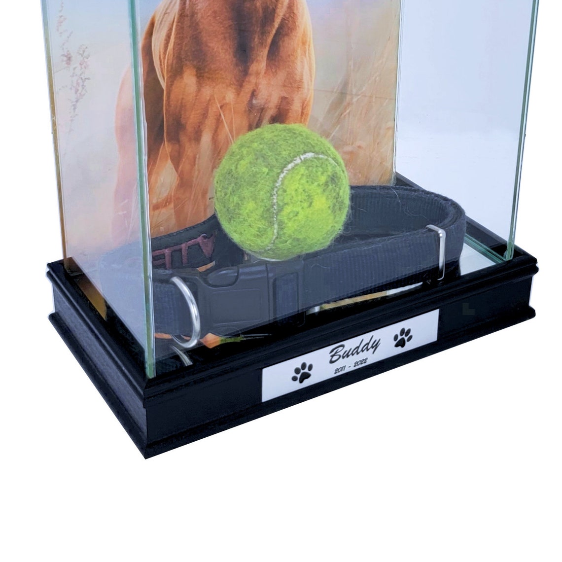 Pet Memorial Display Case With 8x10 Photo Print in the Back Etsy