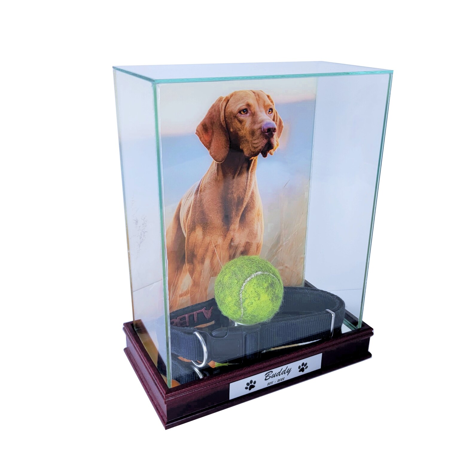 Pet Memorial Display Case With 8x10 Photo Print in the Back Etsy