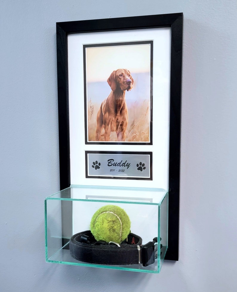 Pet Memorial Display Case With 5x7 Photo Print and Custom Etsy