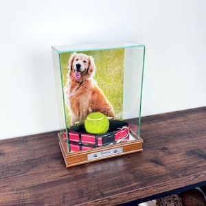 May include: A rectangular glass display case with a wooden base containing a photograph of a golden retriever, a red dog collar, and a yellow tennis ball. A silver metal plaque on the front of the wooden base features the name Buddy and paw prints.