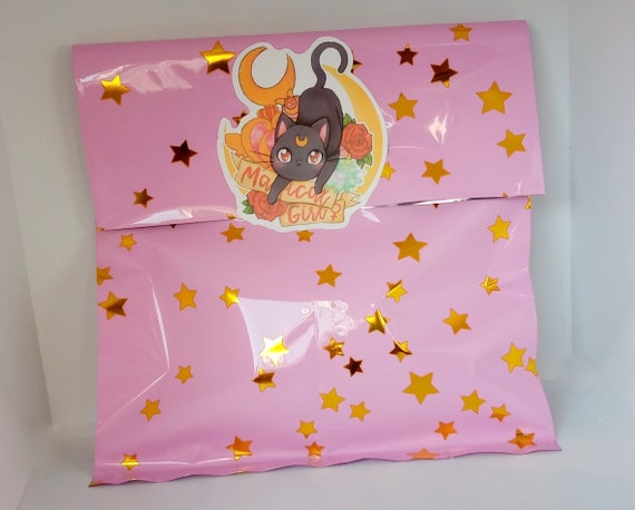 Pretty Guardian Sailor Moon Mystery Bag 6 Pcs, Anime Magic Lucky Box, Sailor  Moon Gadget, Kawaii Mystery Bag Fidel the Retrocat 