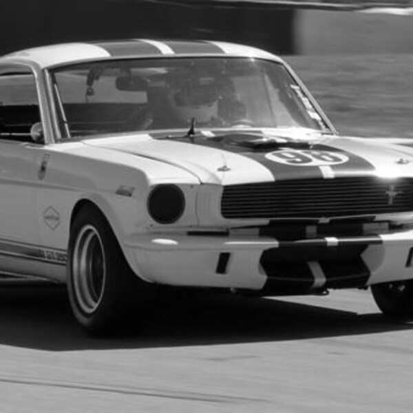 Shelby Mustang GT350 - 1965 Vintage Race Car Photo -2018 Photograph - Digital JPEG File Download For Printed Wall Art