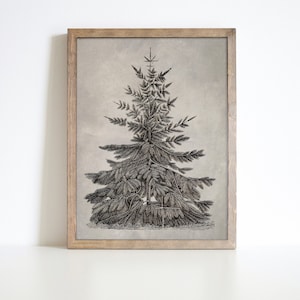 Vintage Nordic Christmas Tree Print | Printable Digital Download | Vintage Holiday Sketch | Christmas Artwork | Pine Tree Drawing | 104