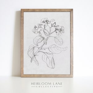 Vintage Flower Stem Art Print | Printable Digital Download | Floral Art Print | Spring Summer Artwork | Botanical Drawing Art Sketch | 8173