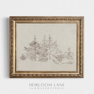 Vintage Pine Tree Sketch | Printable Digital Download | Vintage Holiday Print | Christmas Drawing | Winter Evergreen Forest Graphite Etching