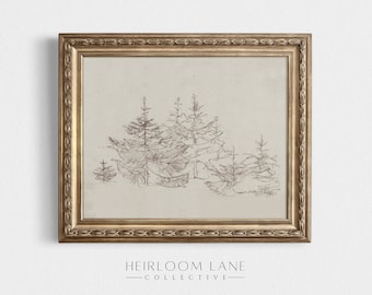May include: A framed black and white line drawing of a group of pine trees. The frame is gold with a decorative border. The text "HEIRLOOM LANE COLLECTIVE" is printed below the frame.