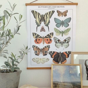 Descarga digital instantánea del cartel de la mariposa vintage / Arte de la pared de la mariposa / Decoración del hogar / Cartel inspirado vintage / Mariposas y polillas