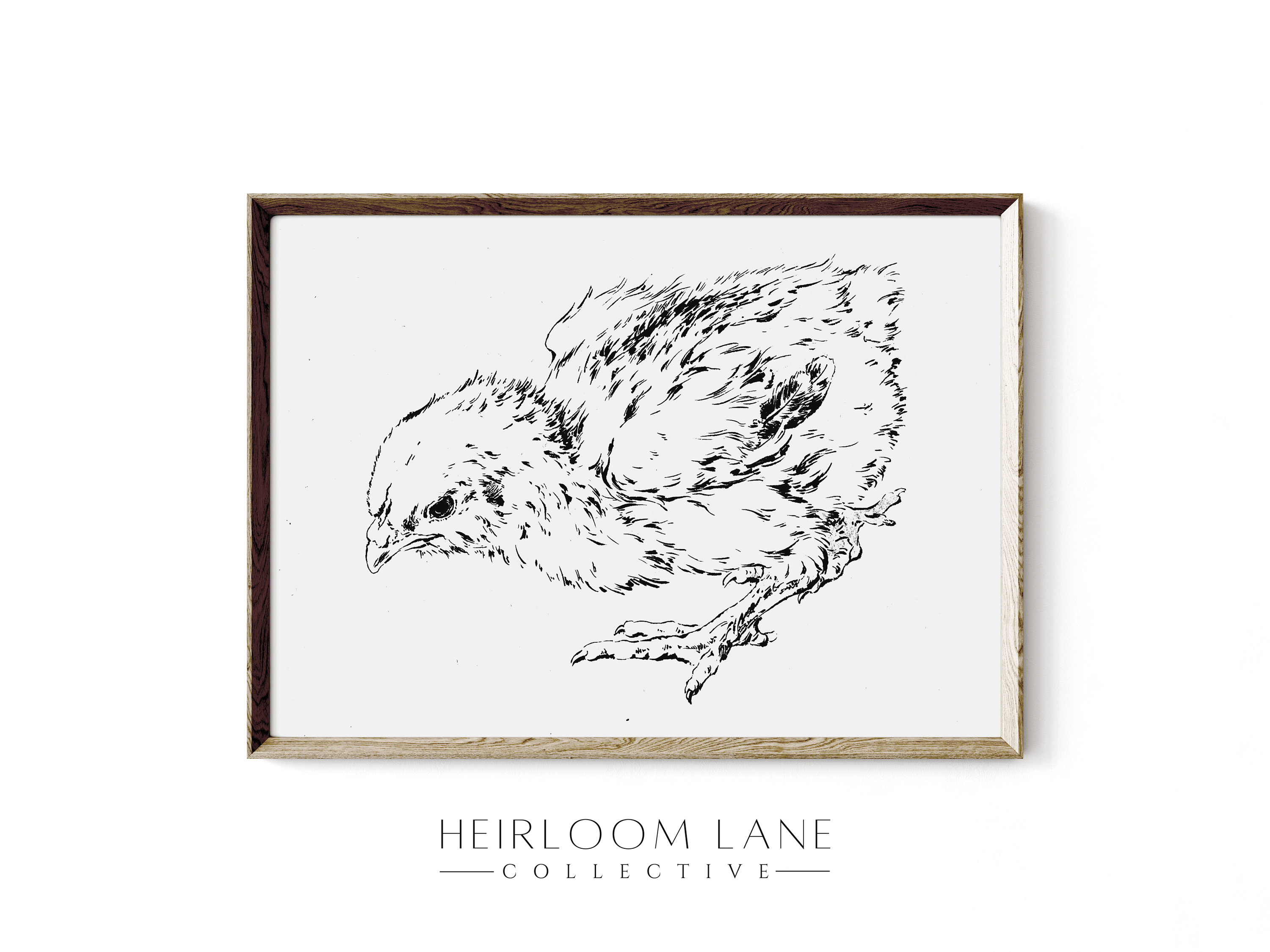Vintage Chick Sketch Art | Chicken Print | Vintage Easter Print ...
