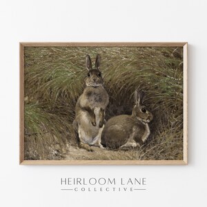 K&ouml;nnte beinhalten: Ein gerahmter Druck eines Gem&auml;ldes, das zwei braune Kaninchen in einem Feld mit hohem Gras zeigt. Das Kaninchen links steht aufrecht, w&auml;hrend das Kaninchen rechts liegt. Der Druck hat einen hellbraunen Holzrahmen.