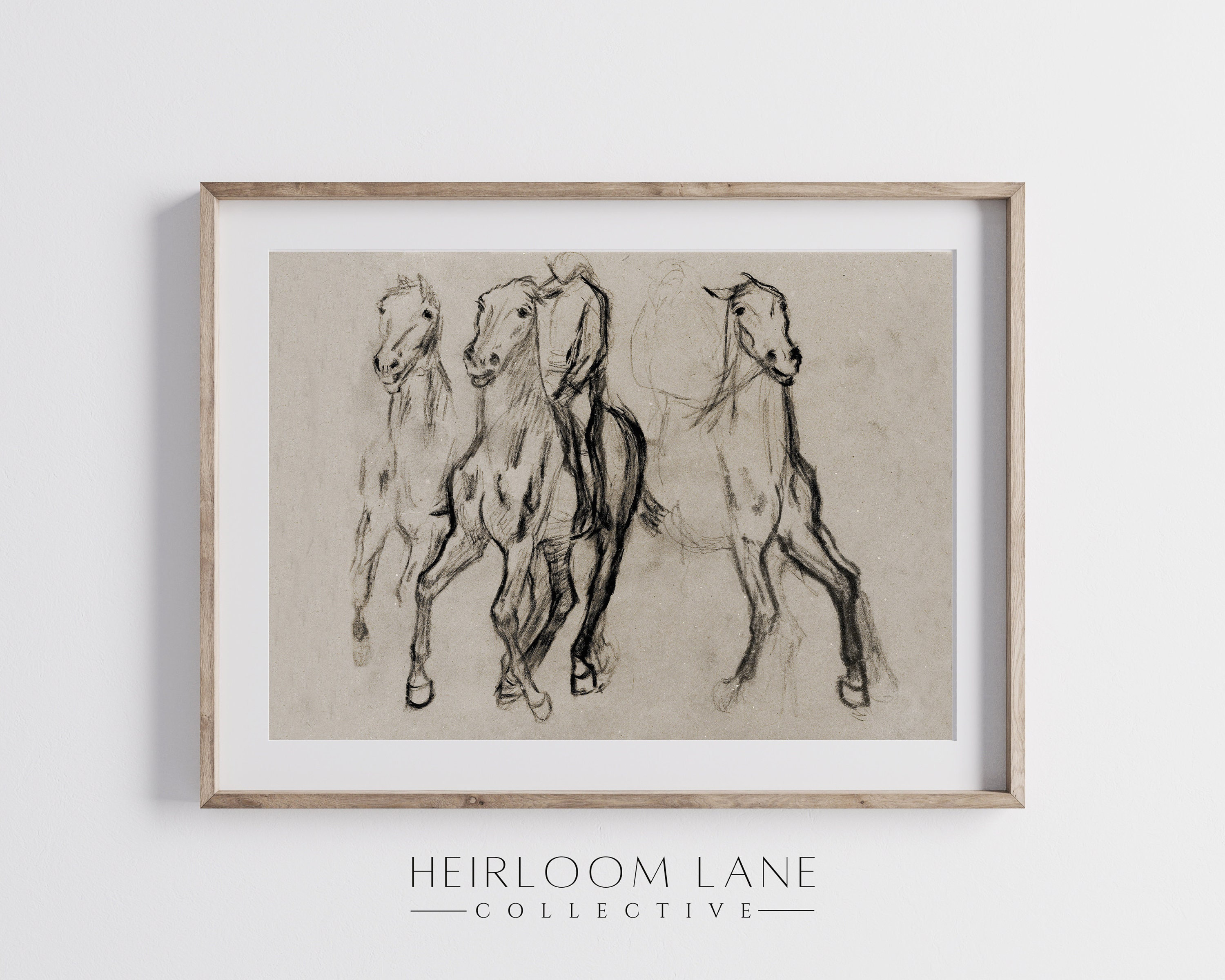 Pin by Connie on horses  Horse art drawing, Cool art drawings