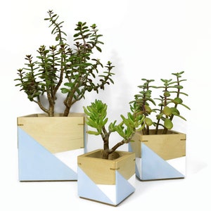 Jardinière moderne intérieure, pot de plantes, jardinière en bois, boîte en bois, jardinière succulente, jardinière en contreplaqué, pot de cactus, design minimaliste, décor, pots. image 1