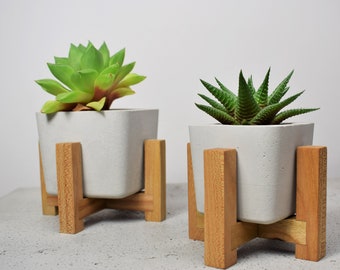 Set di due supporti per piante in legno con vasi di cemento. Stand di piante con vasi. Legno di olmo.