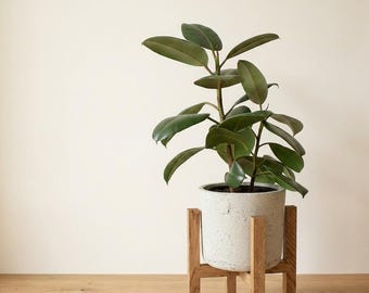 Pflanzenständer aus massiver Eichenholz, modernes Wohnaccessoire im Mid-Century-Stil