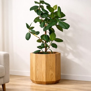 Op de afbeelding: Een groene plant in een lichtbruine houten plantenbak. De plantenbak heeft een geometrisch ontwerp en staat op een houten vloer. De plant heeft grote, ovale bladeren en staat voor een witte muur. De pot is ongeveer 40 cm hoog.