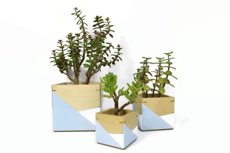 Jardinière moderne intérieure, pot de plantes, jardinière en bois, boîte en bois, jardinière succulente, jardinière en contreplaqué, pot de cactus, design minimaliste, décor, pots. image 1