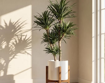 Solid Oak Wooden Plant Stand for Heavy Pots Scandinavian Design Home Decor