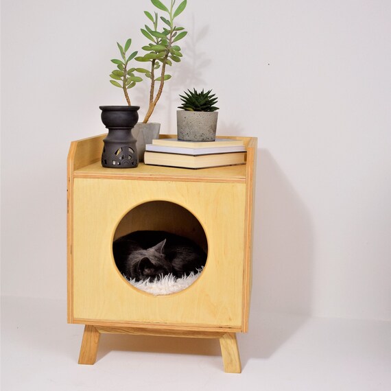 Plywood cat house 2025