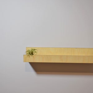 Wall shelf, Pictures Ledge, book shelf, floating shelf image 9